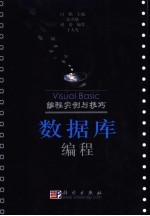 Visual Basic编程实例与技巧 数据库编程