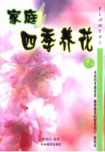 家庭四季养花 春季观花植物