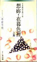 想你,在暮色里 上集