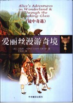 爱丽丝漫游奇境 镜中奇遇