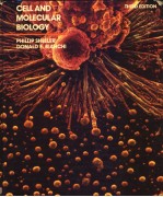 CELL AND MOLECULAR BIOLOGY THIRD EDITION