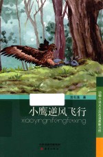 小鹰逆风飞行