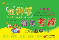 金种子 领航考卷 数学 二年级 下 人教版