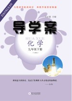 导学案 化学 九年级 下 人教版