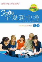 2010宁夏新中考 化学 通用版