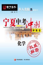 宁夏中考冲刺押题卷 化学