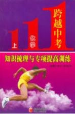 跨越中考化学 上 知识梳理与专项提高训练