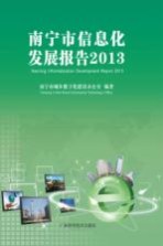 南宁市信息化发展报告 2013