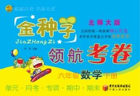 金种子 领航考卷 数学 六年级 下 北师大版