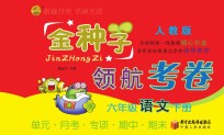 金种子 领航考卷 语文 六年级 下 人教版