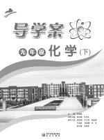 导学案 化学 九年级 下
