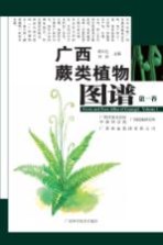 广西蕨类植物图谱 第1卷