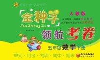 金种子 领航考卷 数学 五年级 下 人教版