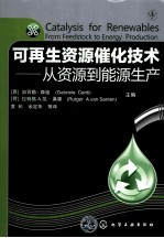 可再生资源催化技术 从资源到能源生产