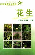 大田作物病虫害防治图谱 花生