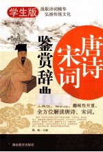 唐诗宋词鉴赏辞典 学生版