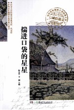 中外百年微型小说经典大系 揣进口袋的星星