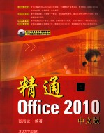 精通Office 2010 中文版