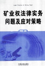 矿业权法律实务问题及应对策略
