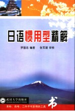 日语惯用型精解 (日语)