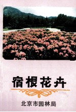 宿根花卉