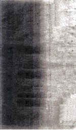 本草经解要 卷3