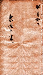 东垣十书 脾胃论 下