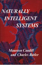 NATURALLY INTELLIGENT SYSTEMS