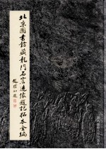北京图书馆藏龙门石窟造像题记拓本全编 第9册 唐