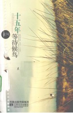 十五年等待候鸟