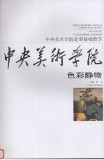 中央美术学院造型基础教学 色彩静物
