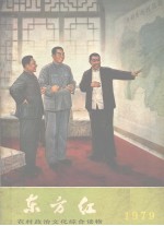 农村政治文化综合读物 1979年 东方红