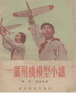 一个飞机模型小组