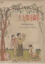 二十五块花岗岩