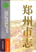 郑州市志 第6分册 教育卷 科学研究卷 新闻出版卷 文化艺术卷 卫生体育卷