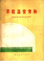 早稻温室育秧