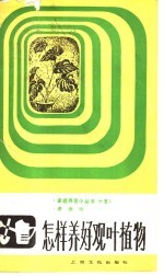 怎样养好观叶植物