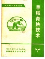 早稻育秧技术