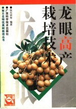 龙眼高产栽培技术