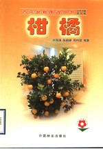 柑橘