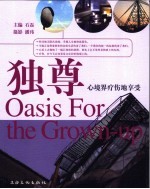 独尊 心境界疗伤地