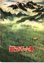 西藏冬小麦
