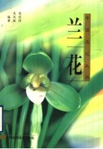 兰花