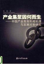 产业集聚因何而生 中国产业集聚形成机理与发展对策研究