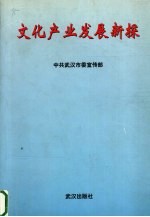 文化产业发展新探