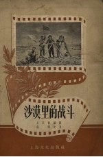 沙漠里的战斗