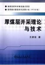 厚煤层开采理论与技术