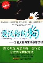 爱抚你的狗 为爱犬量身定做按摩流程
