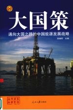 通向大国之路的中国能源发展战略