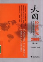 大国经济研究 2009 第1辑